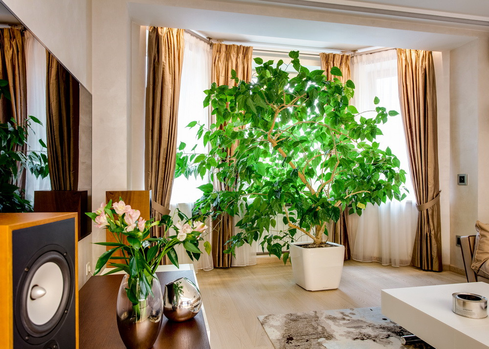 Квартира в Кропоткинском переулке