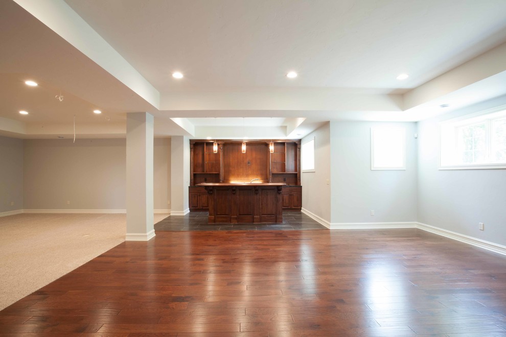 Basement - transitional basement idea in Milwaukee
