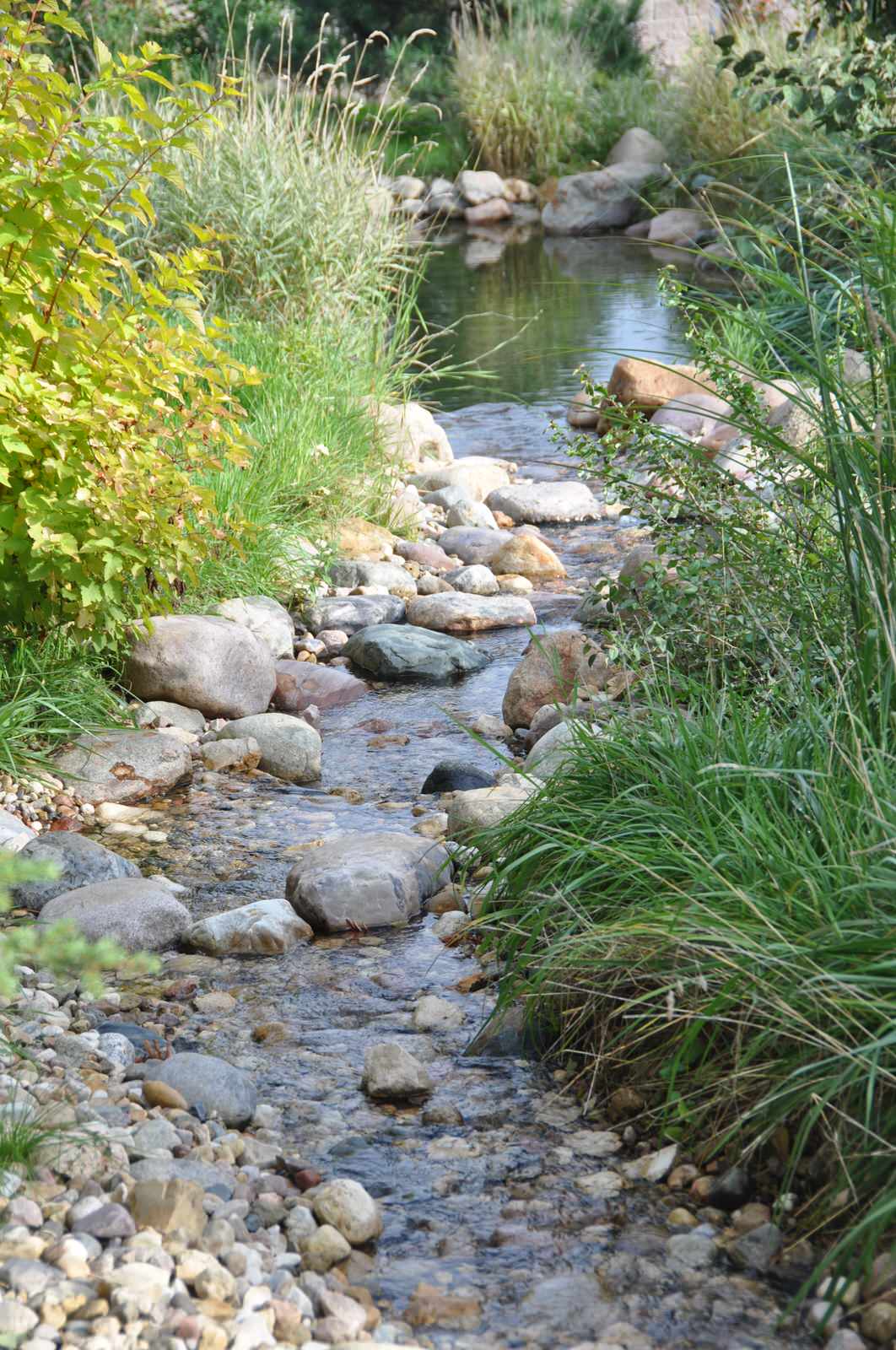 Elephant - загородный дом для активного отдыха