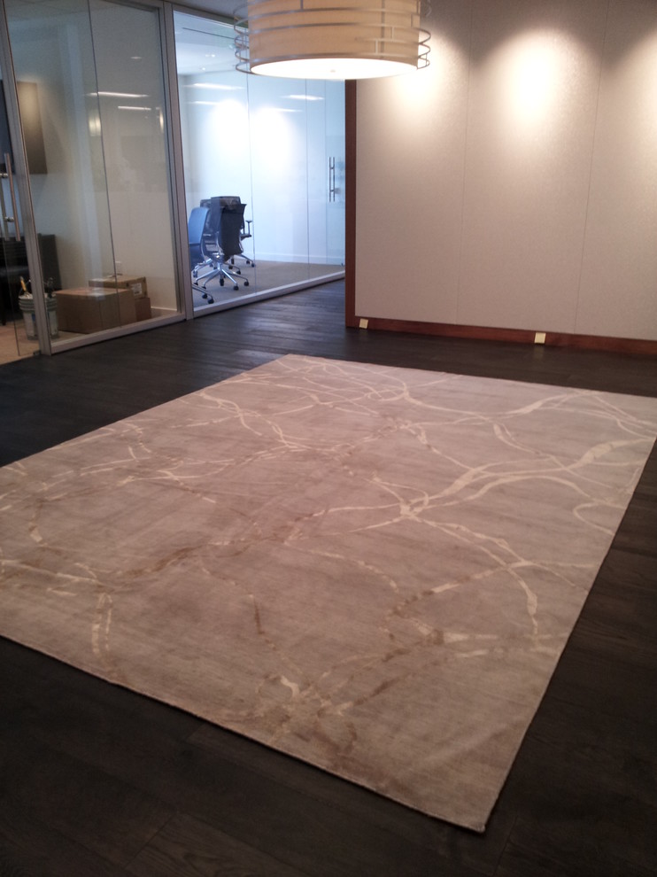 Living room - contemporary hand-knotted living room idea in Dallas