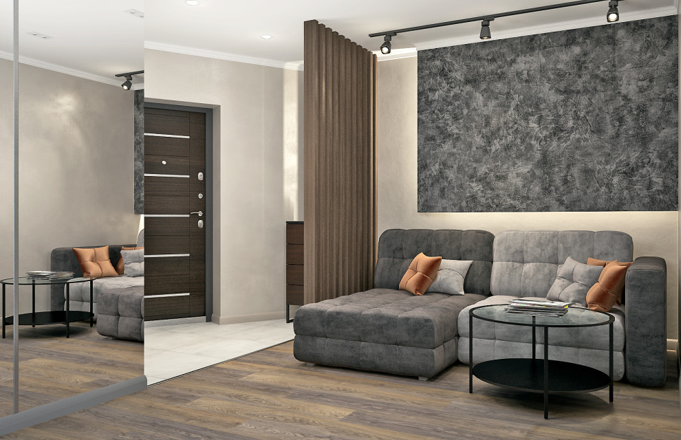 Современная однокомнатная квартира для молодого человека.