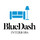 BlueDash Interiors