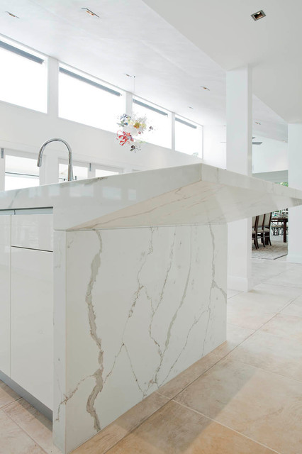 Newport Project modern-kitchen