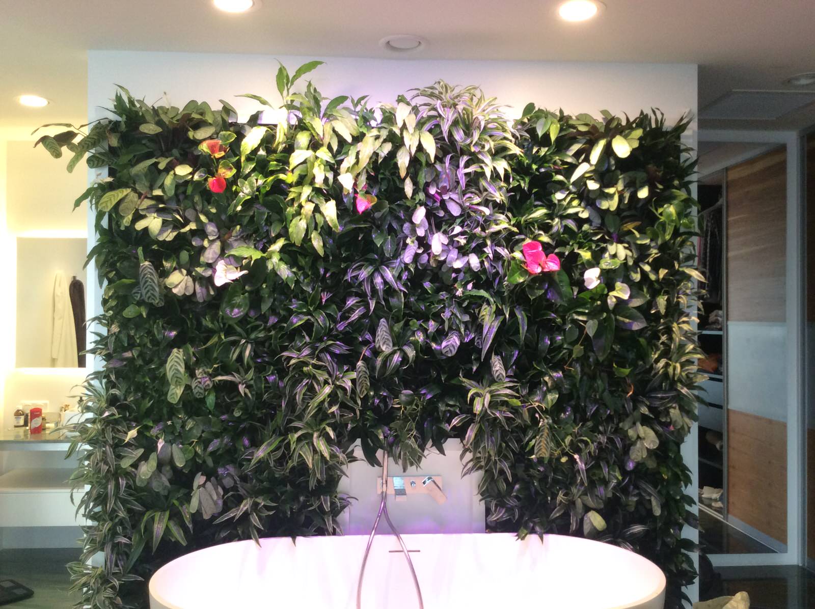 Ванна для Небожителя