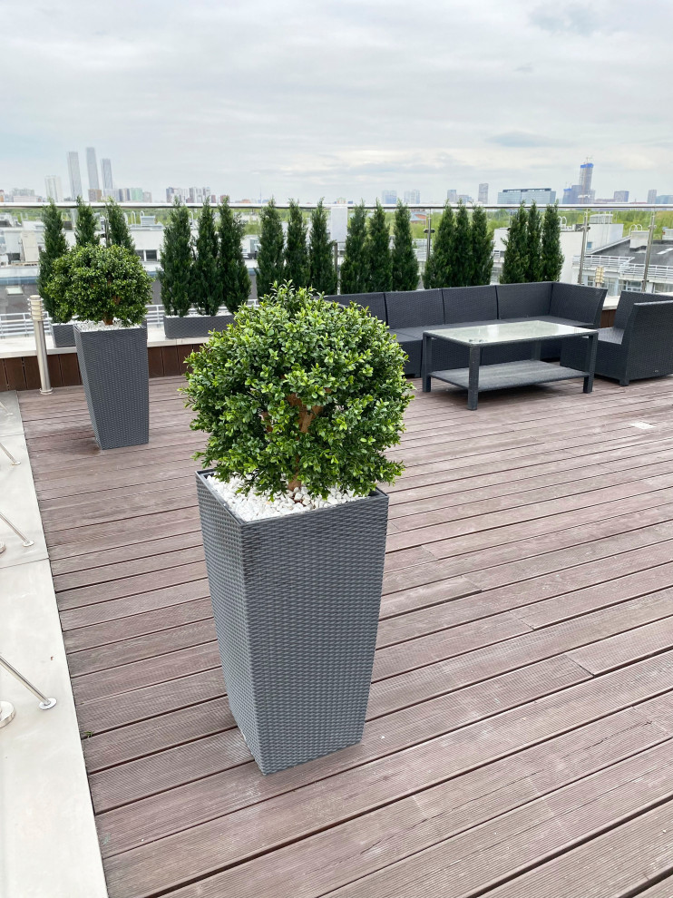 Веранда искусственное озеленение