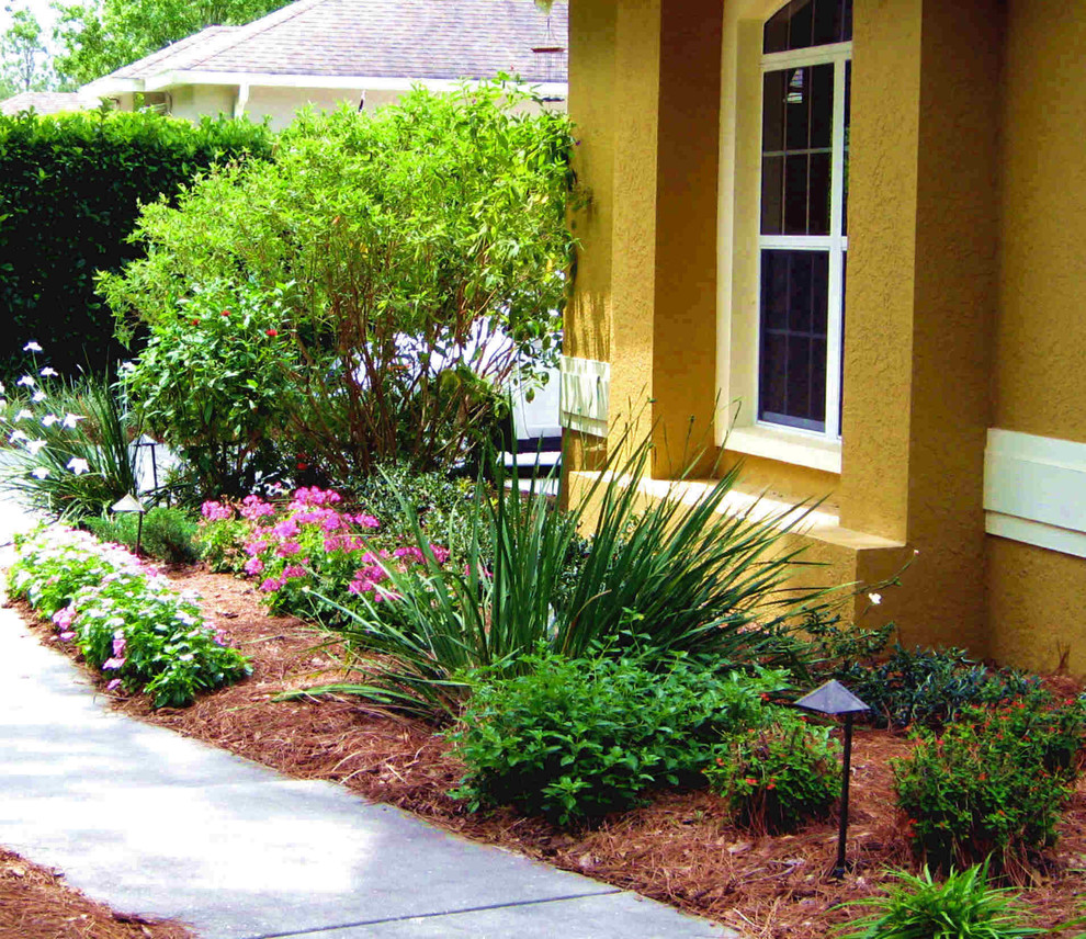 Photo of a traditional garden in Tampa.