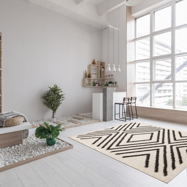 315247 Collage Transitional Ivory Rug 3'11 x 6'0 Bedroom eCarpet Gallery Hand-Knotted Area Rug for Living Room 315247 Collage Transitional Ivory Rug 3'11 x 6'0 Bedroom eCarpet Gallery Hand-Knotted Area Rug for Living Room