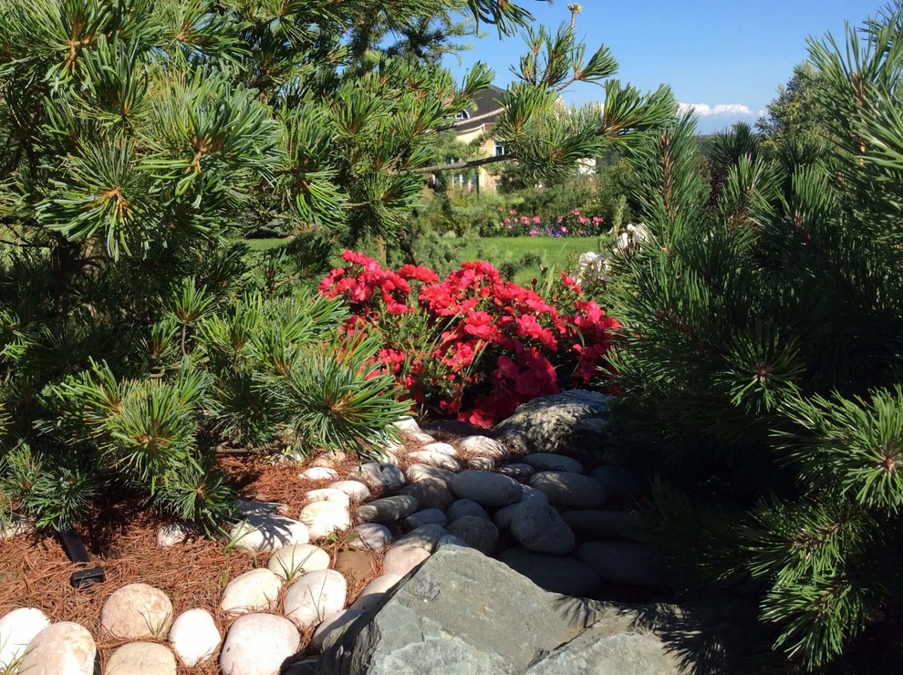 СНЫ О ЧЕМ_ТО БОЛЬШЕМ...