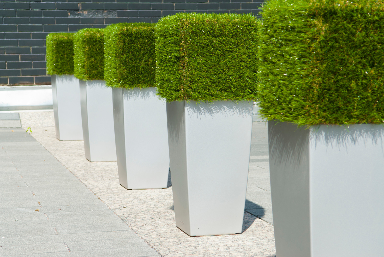 Геометрия в саду