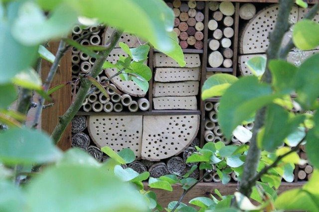 12 Ways to Create a Wildlife Haven in a Small Garden | Houzz UK