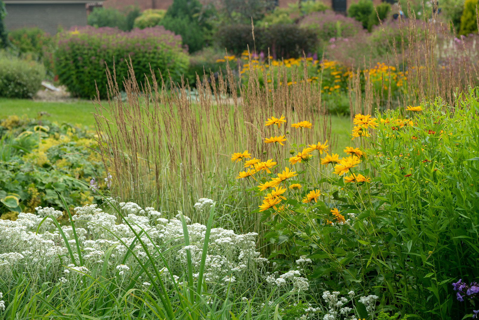 Проект Сада  в "Бельгийской деревне "