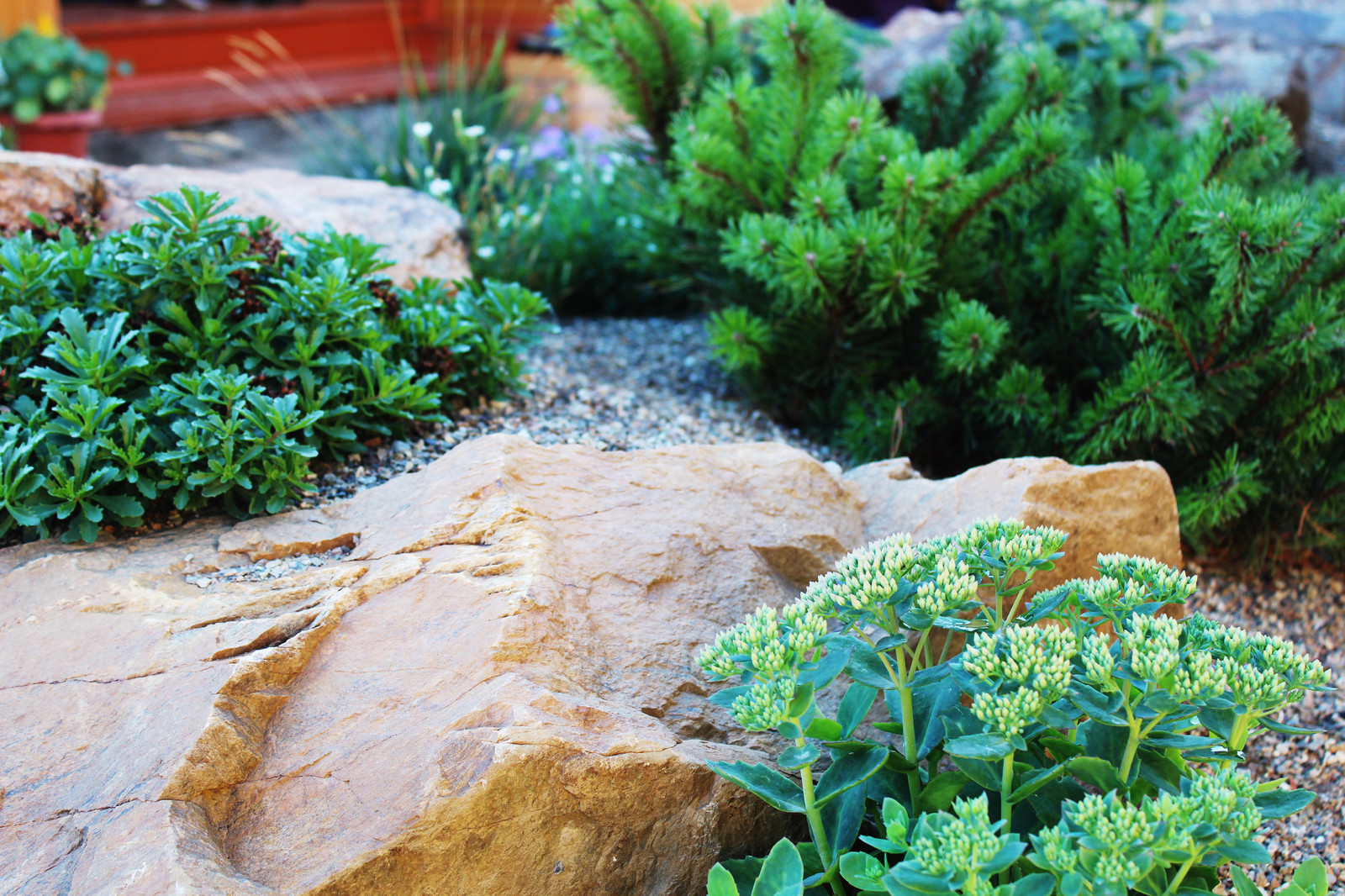 Участок в деревне