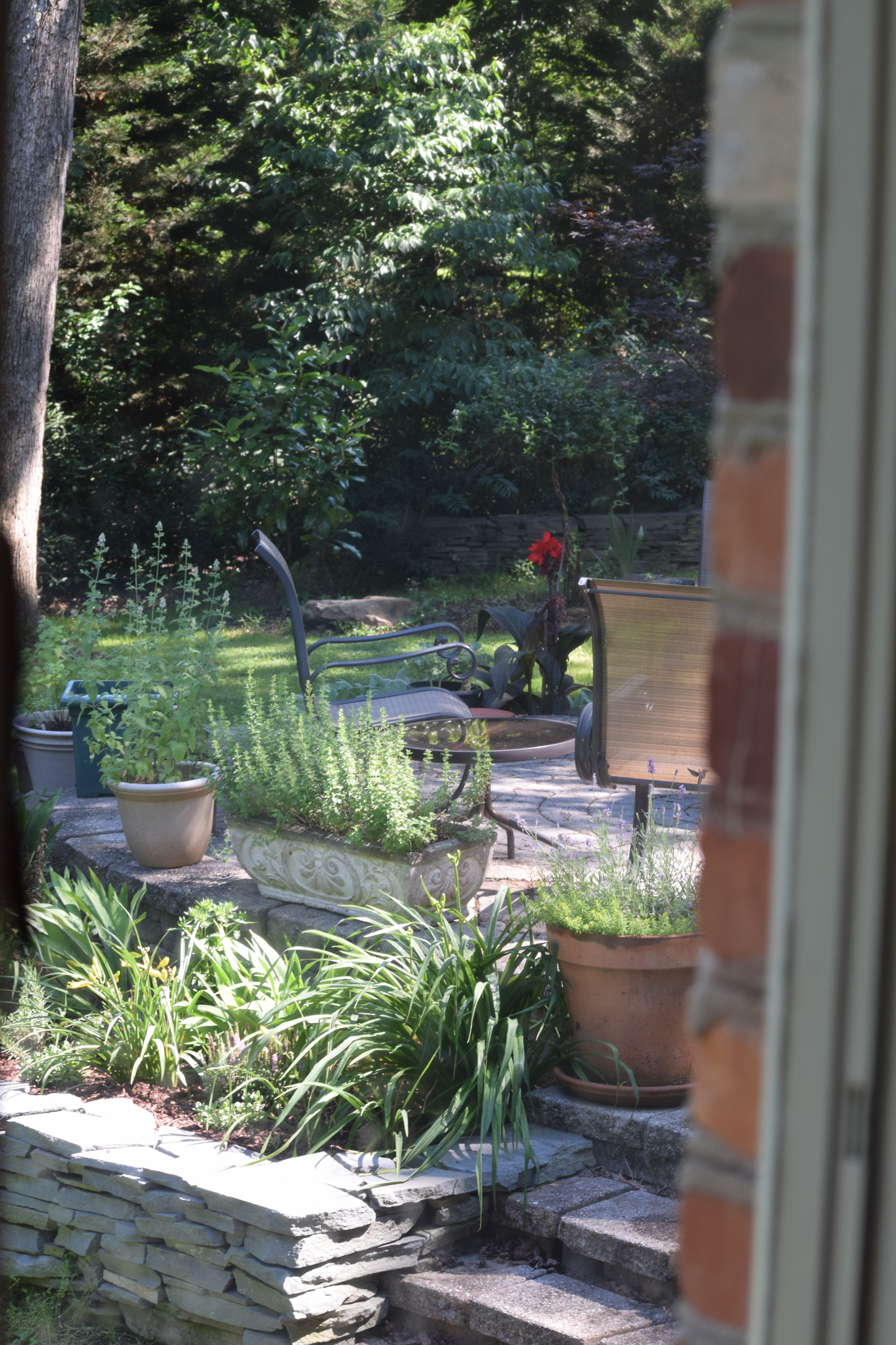 Back yard makeover