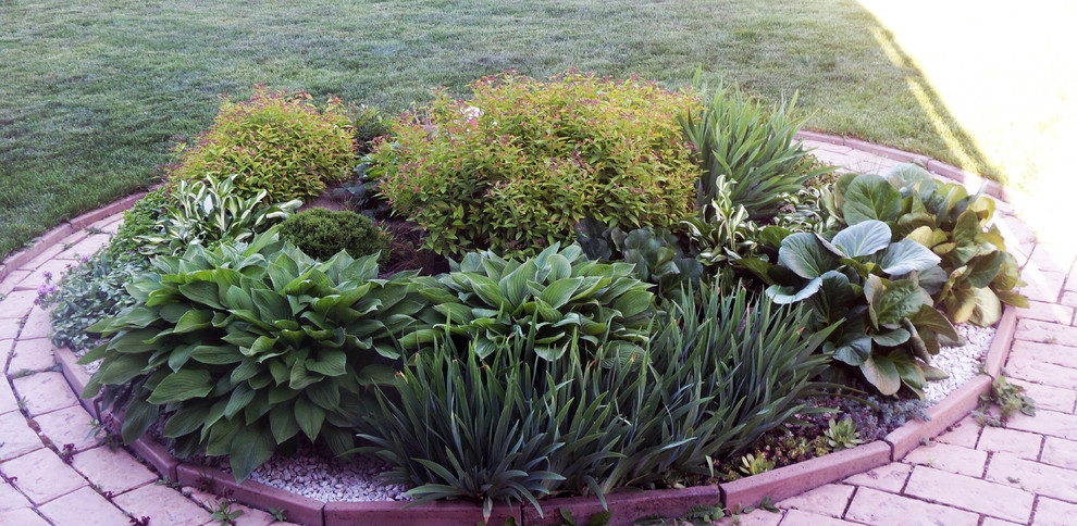 Цветники и композиции