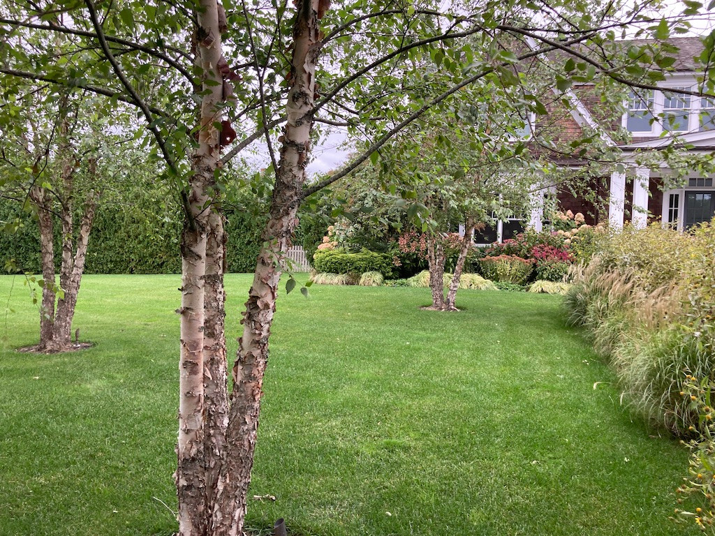 Watermill, NY Informal Landscape