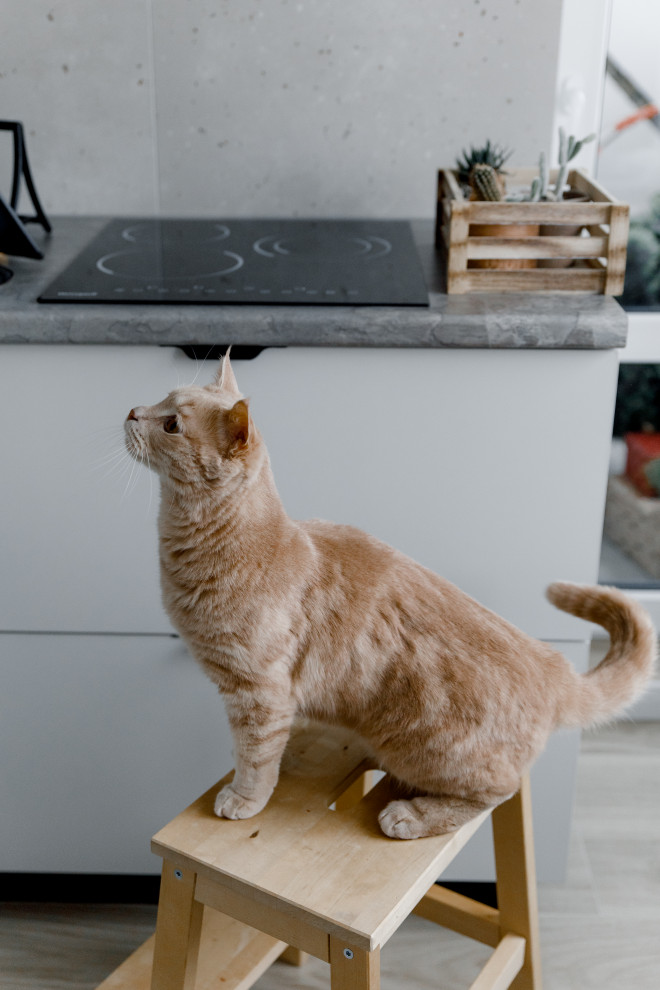 Реализация двухкомнатной квартиры в ЖК Русский Авангард