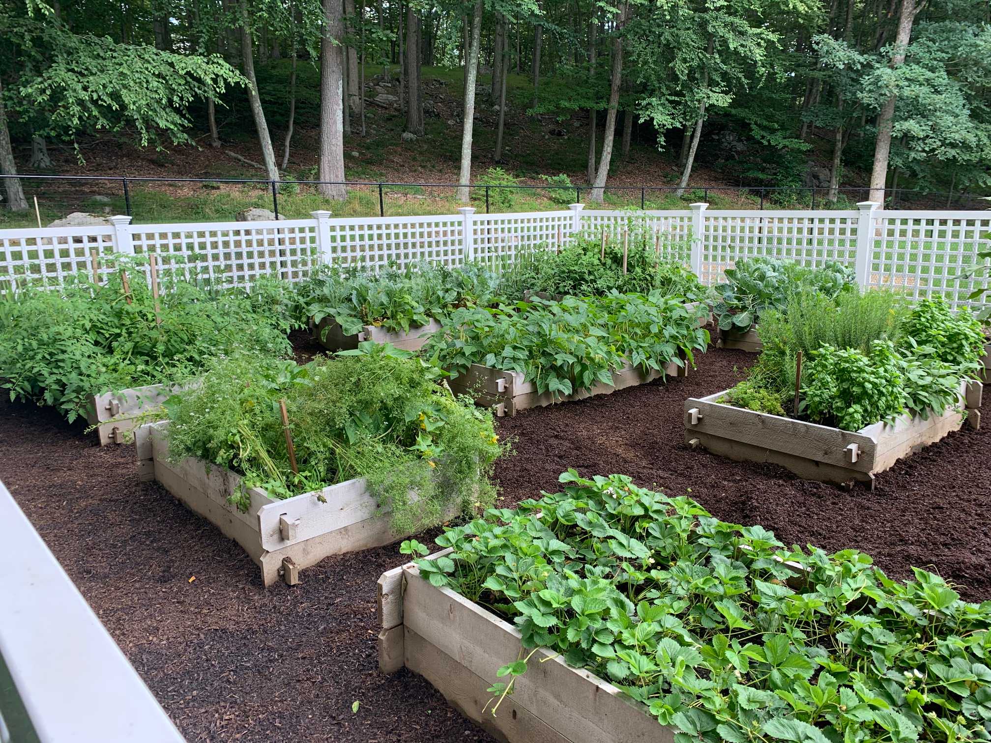 Culinary Raised Vegetable Garden. This is nine beds that measure 8x4 and 6x4. Root vegetables, Salad, Tomatoes and Herb. This garden produced 235 pounds of tomatoes in 2020. The entire system is desig