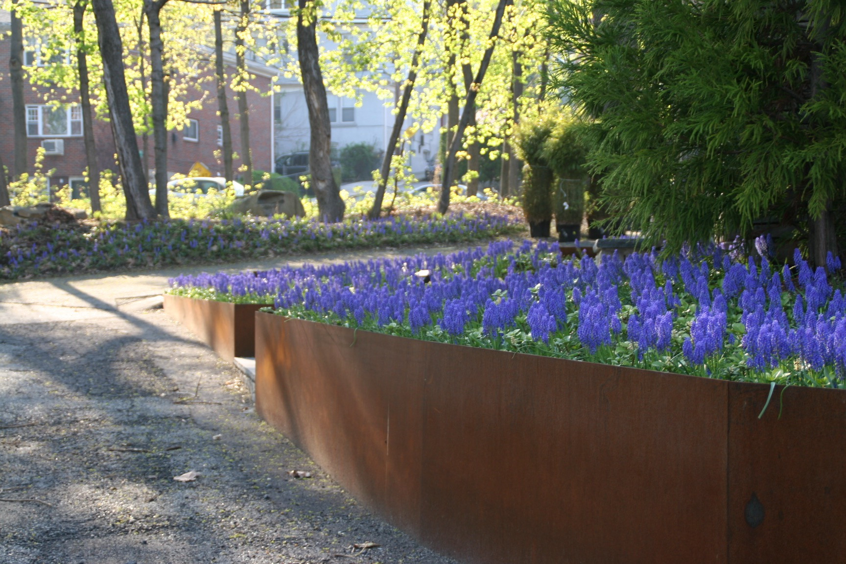 Corten Wall