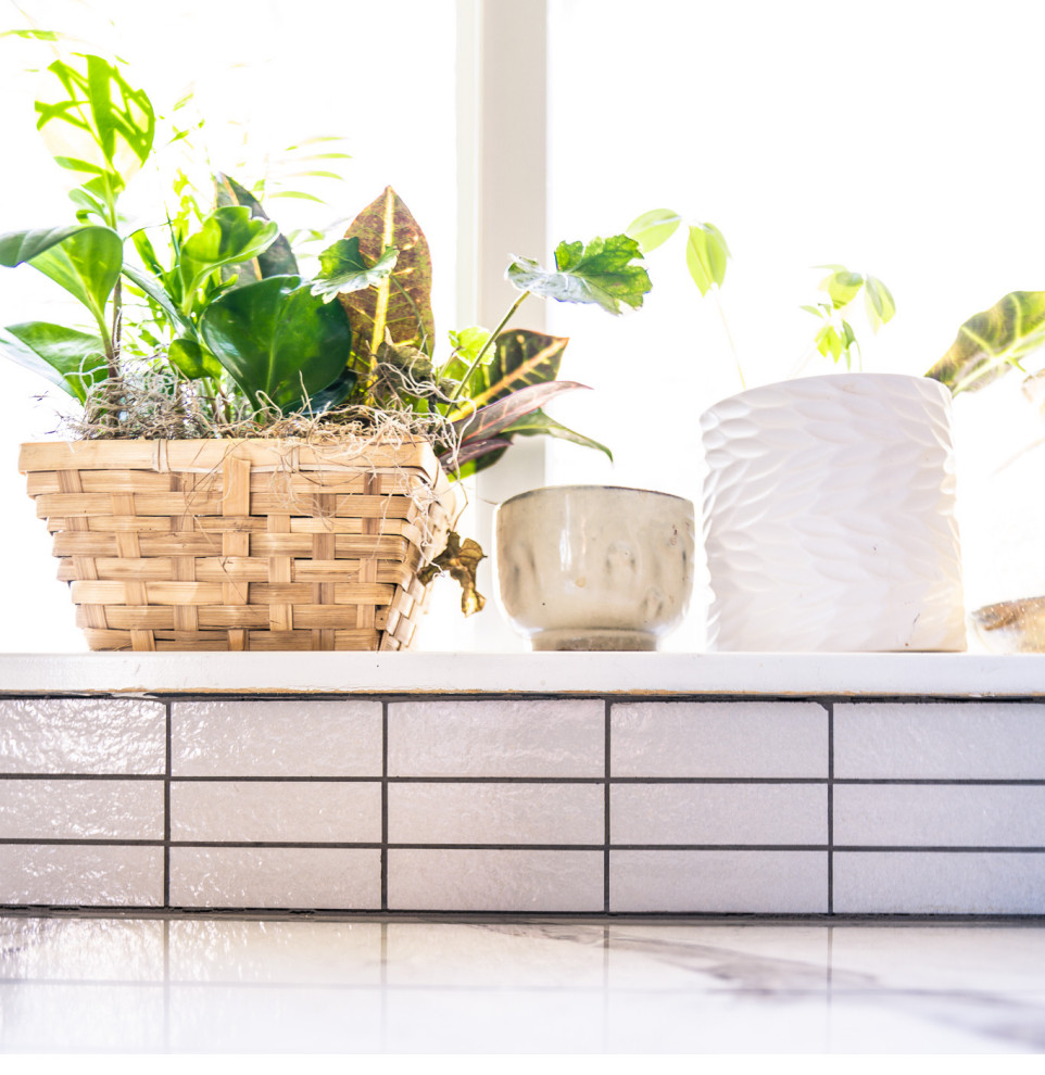 Inspiration for a transitional home design remodel in Denver