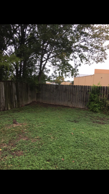 Reinforced Repaired Wood Fence