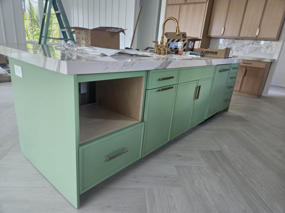 Kitchen Remodel with Appliance Panels