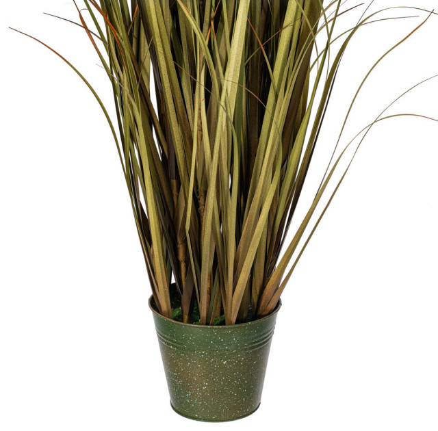 Vickerman 55