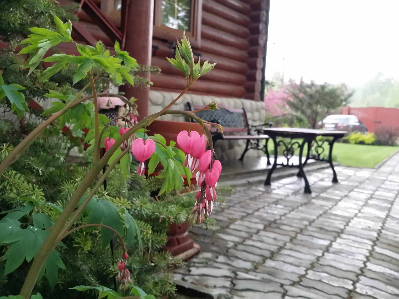 Вписываясь в природу