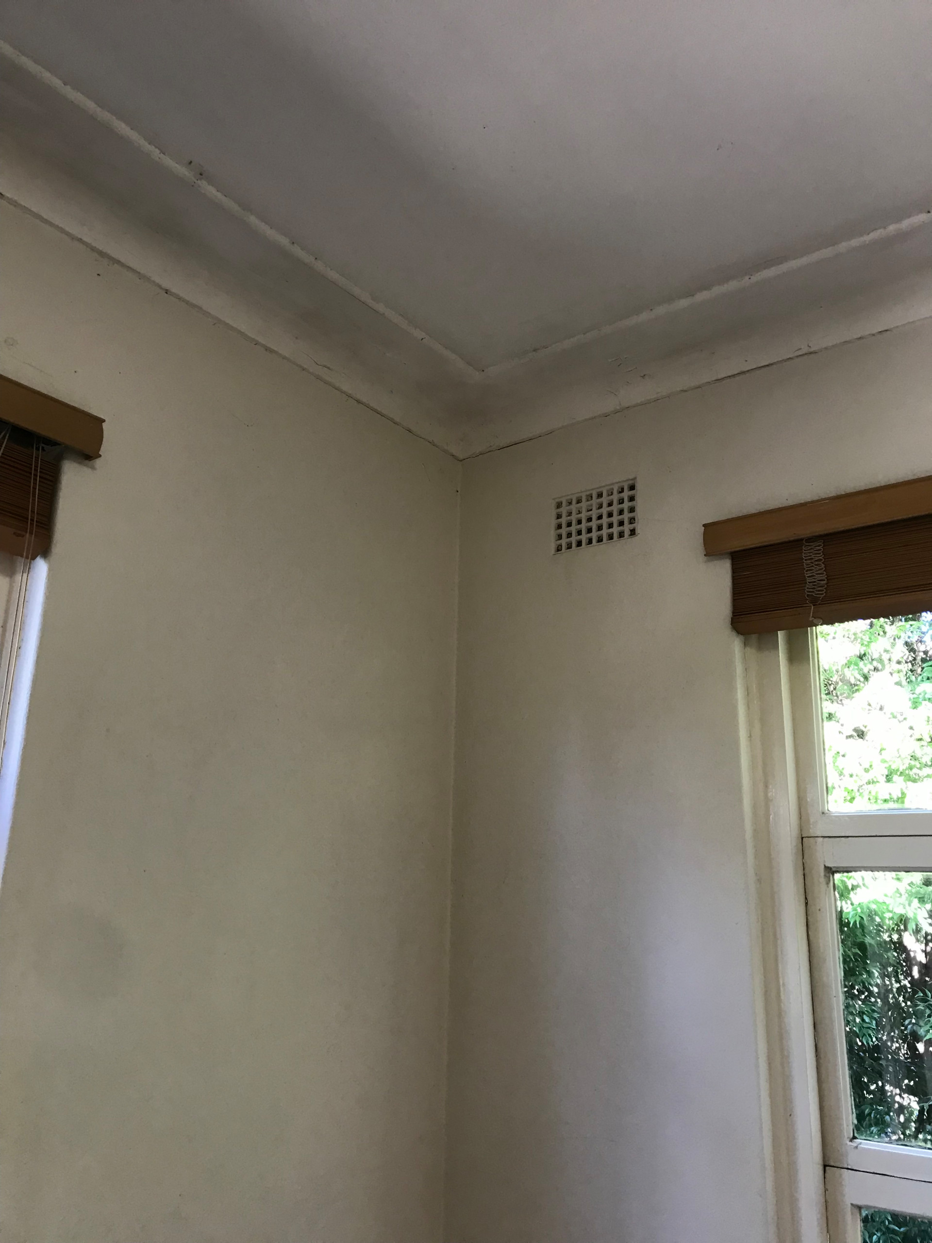 APARTMENT REBIRTH