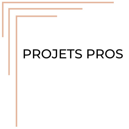 projets pros