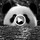 piia_toom39
