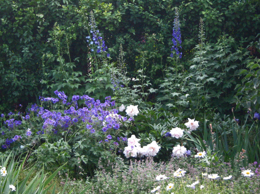 Фотографии моих работ