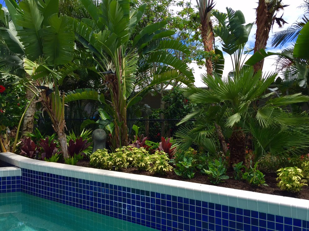 This is an example of a small tropical backyard formal garden in Orlando.
