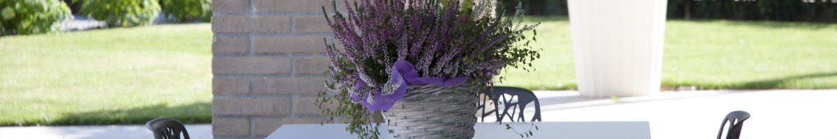 Francesca endrizzi architetto interior designer pd, it 35126 Architetto interior designer