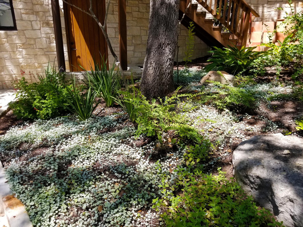 This is an example of a transitional landscaping in Austin.