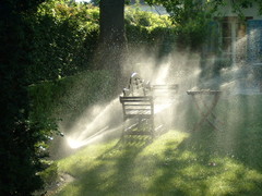 10 erreurs à ne pas commettre en cas de canicule