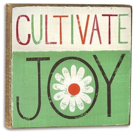 Cultivate Joy Wall Art - Contemporary - Novelty Signs - by Frame it for Less, Inc  Houzz