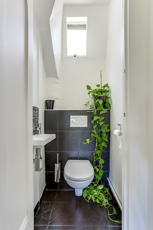 トイレにおすすめな観葉植物10選＆飾り方実例集！育て方や風水の視点も！ YOTSUBA[よつば]