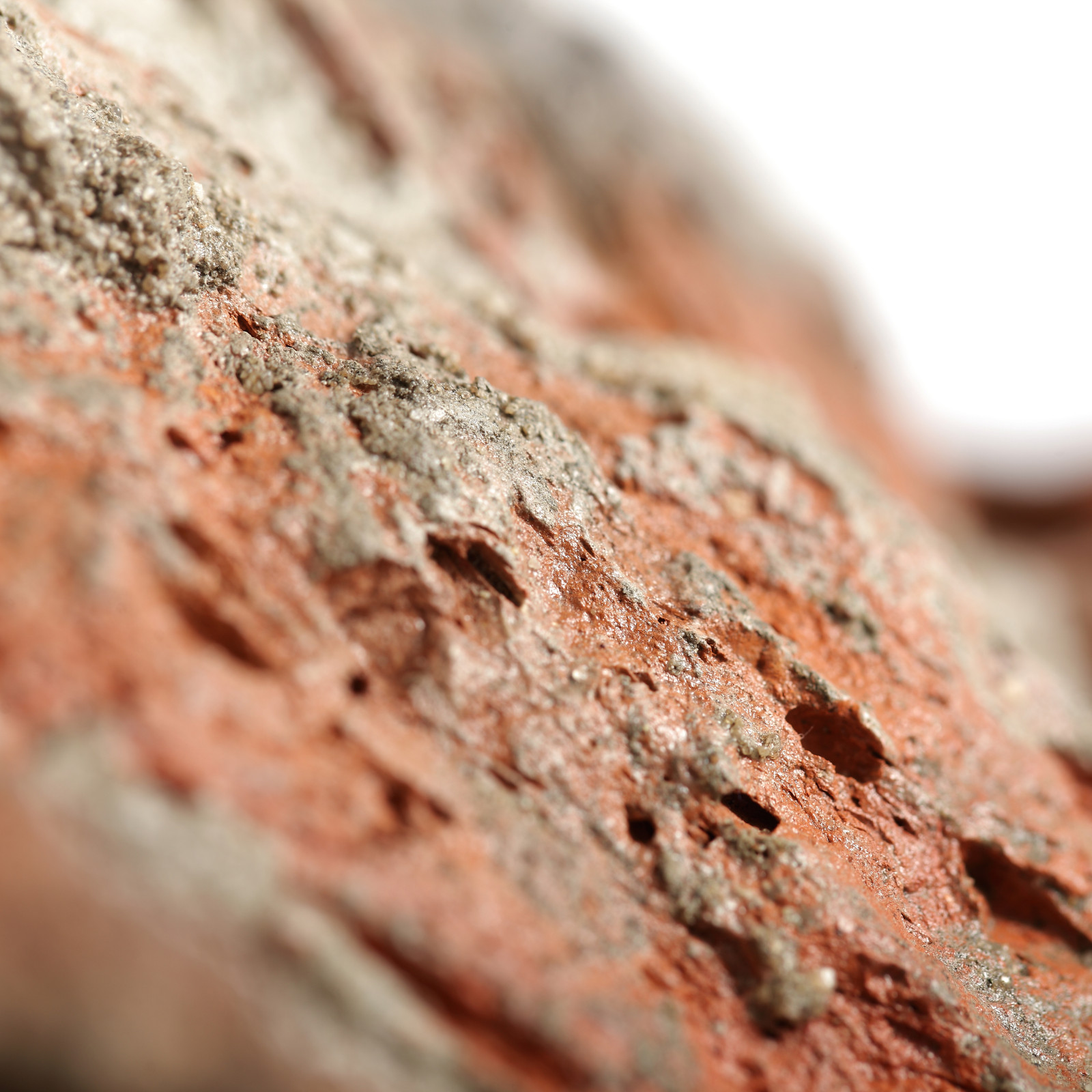 Колекция Atli