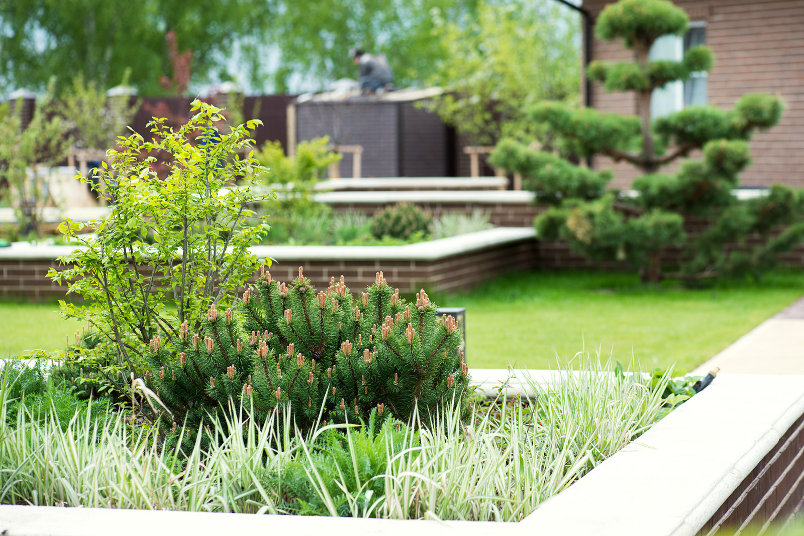 Первая весна в саду "Красный октябрь"