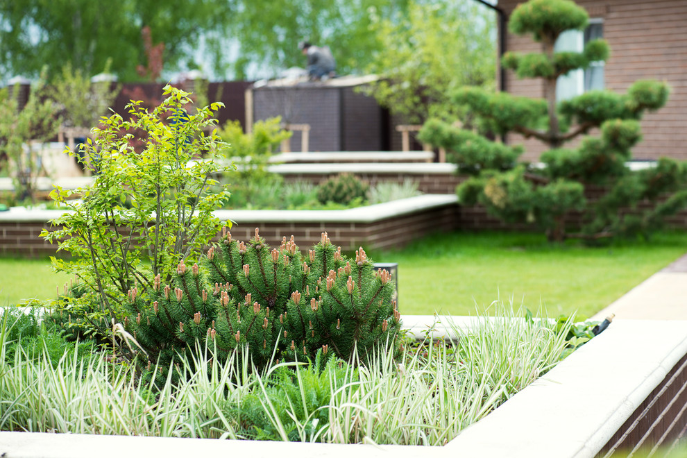 Первая весна в саду "Красный октябрь"