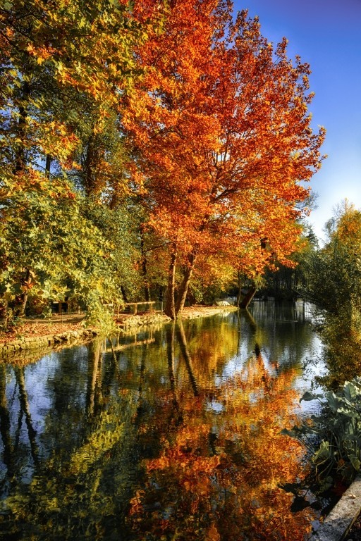 "Colours of Autumn" Photo Print, Aluminium, 40x30 cm