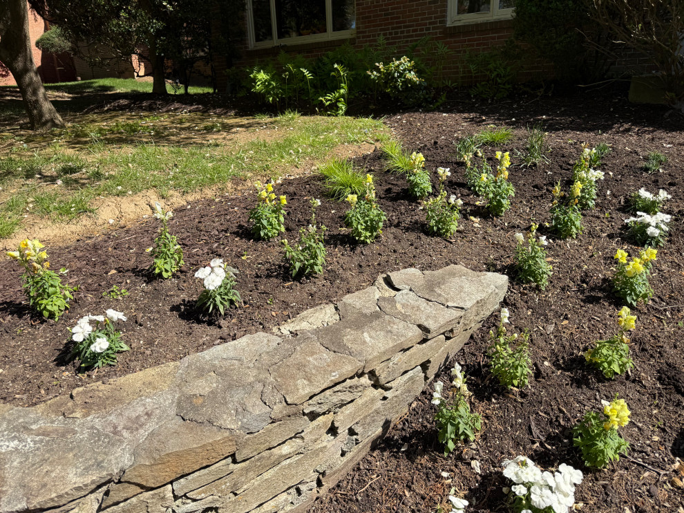 Native plants