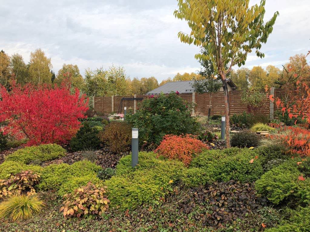 ЯГОДНОЕ ЛУКОШКО. ОСЕНЬ 2018