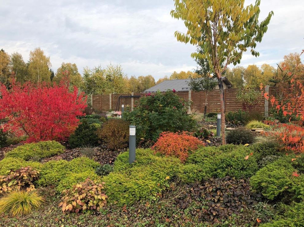 ЯГОДНОЕ ЛУКОШКО. ОСЕНЬ 2018