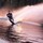 bruce_bottum