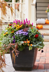10 Fall Container Ideas to Celebrate the Season
