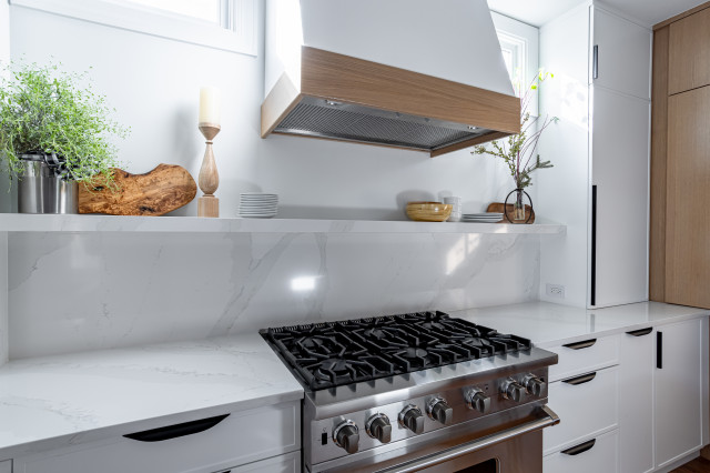 Expansive Kitchen Update contemporary-kitchen