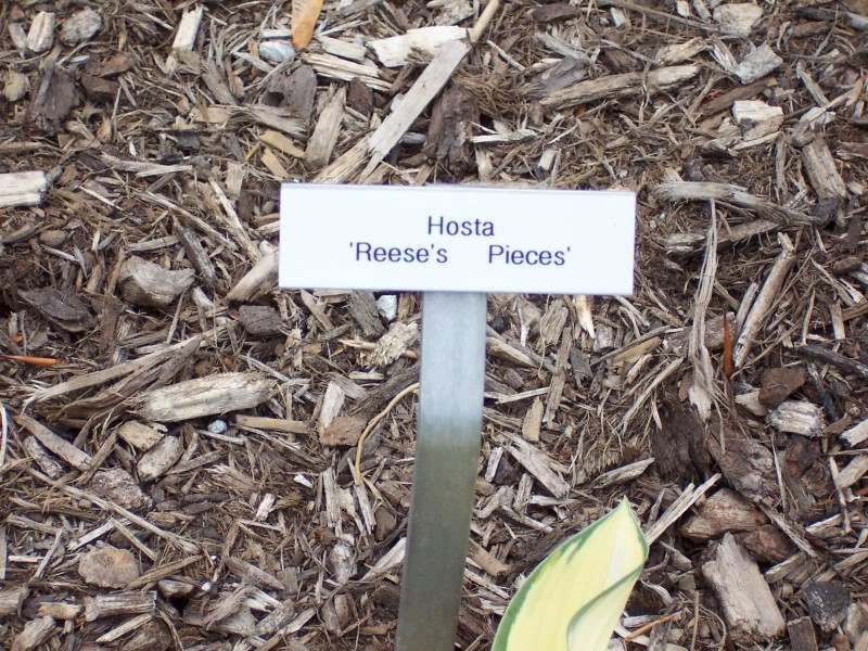 Aluminum Plant Markers