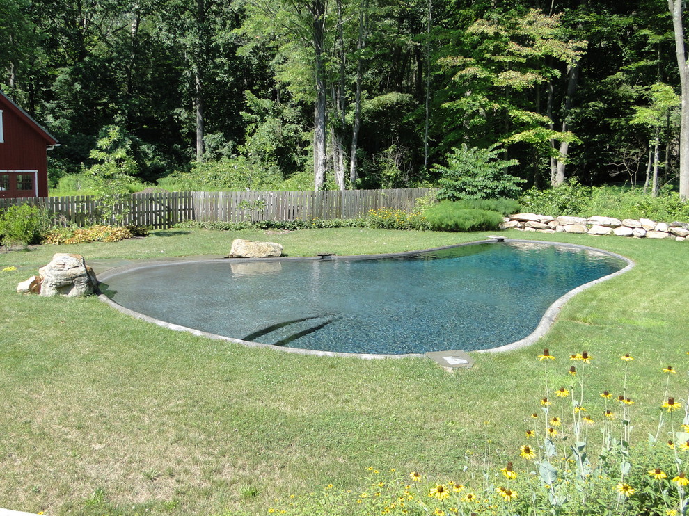 This is an example of a large traditional backyard custom-shaped natural pool in Philadelphia with natural stone pavers.