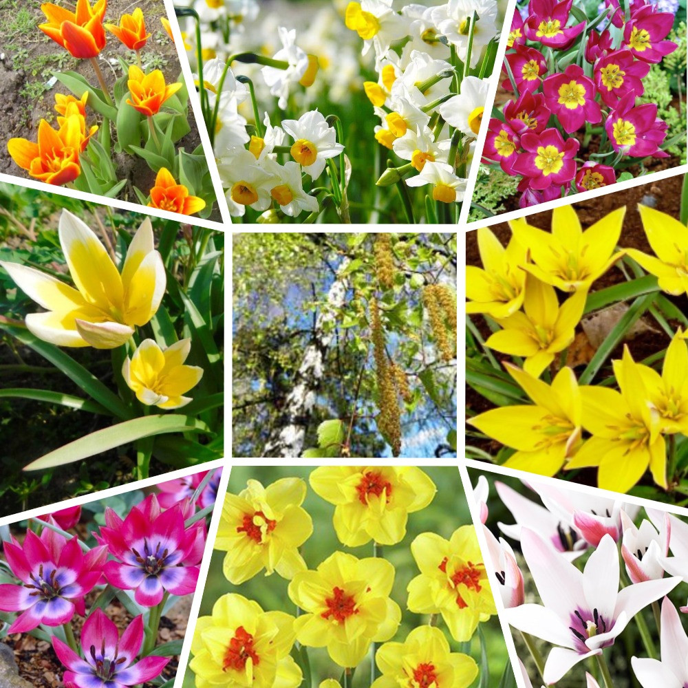 "Крыша русского дома". Проект зоны для детских игр